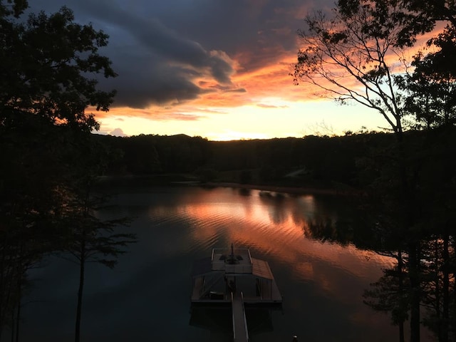 property view of water