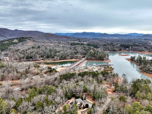 birds eye view of property with a water and mountain view