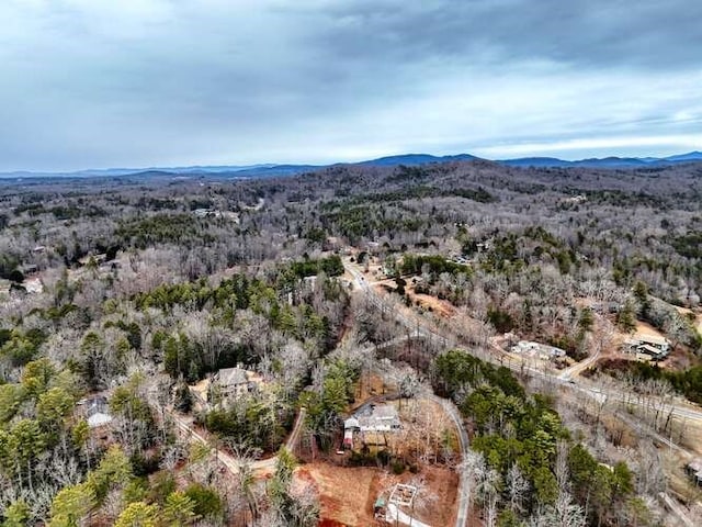 bird's eye view featuring a mountain view