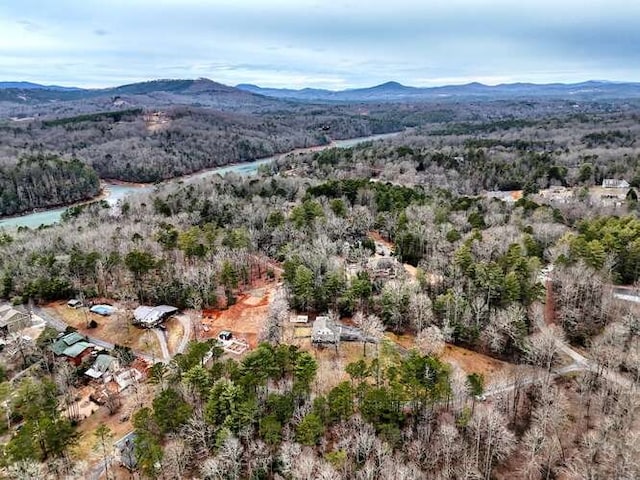 drone / aerial view with a mountain view