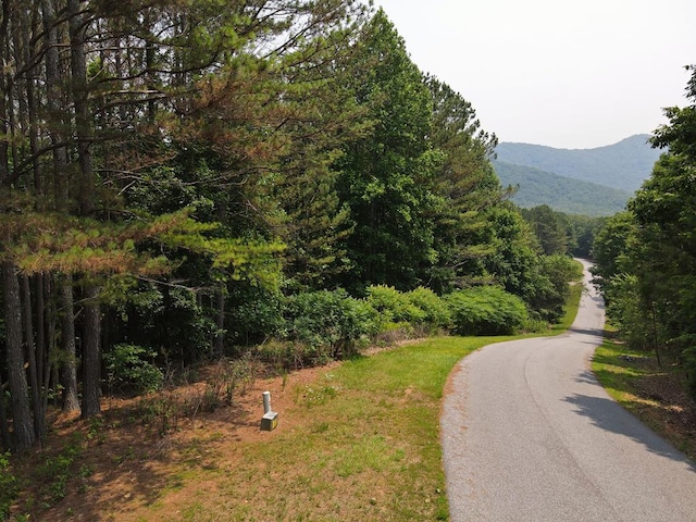 LOT25 Loftis Mountain Rd, Blairsville GA, 30512 land for sale