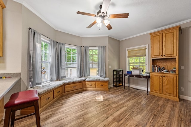 interior space featuring ceiling fan, light wood-type flooring, and ornamental molding