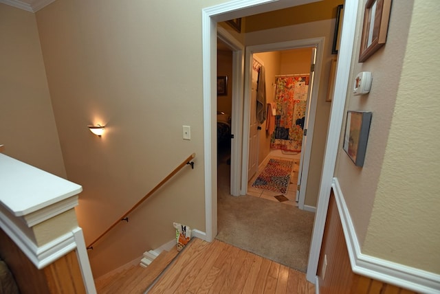 hallway featuring crown molding and light hardwood / wood-style floors