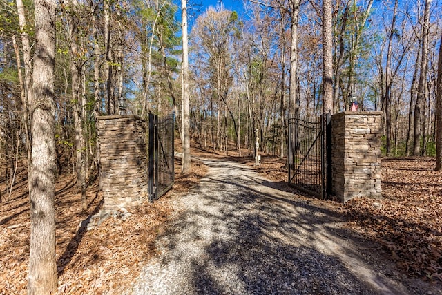 view of road featuring a gated entry, gravel driveway, and a gate