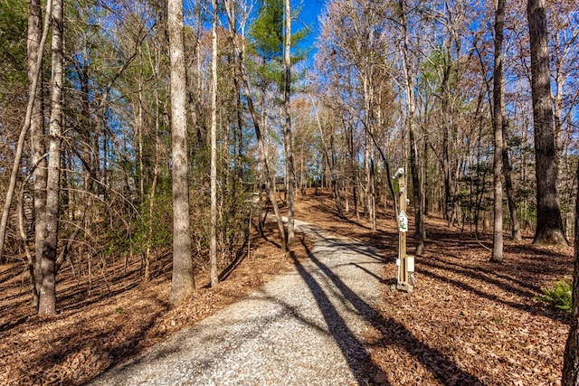 view of street featuring a wooded view