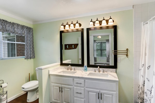 full bathroom featuring a sink, baseboards, toilet, and double vanity