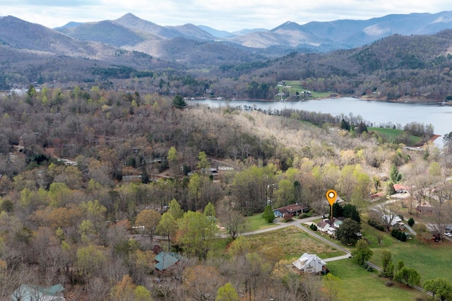 drone / aerial view with a view of trees and a water and mountain view