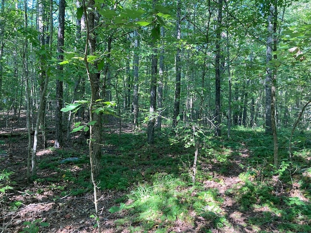 Listing photo 3 for 0 Cutcane, Mineral Bluff GA 30559