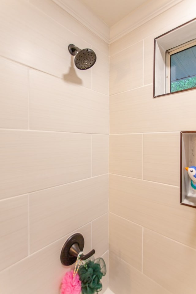 68 Phillips Crk, Andrews, NC 28901 - bathroom with a tile shower