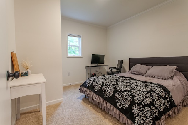 68 Phillips Crk, Andrews, NC 28901 - bedroom with crown molding, light colored carpet, and baseboards
