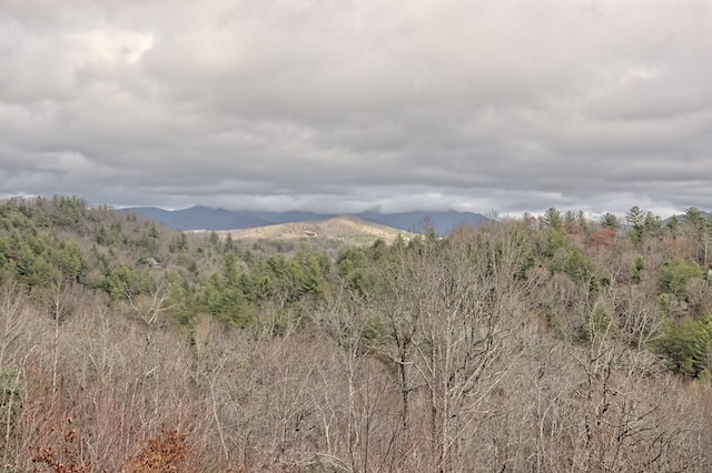 property view of mountains