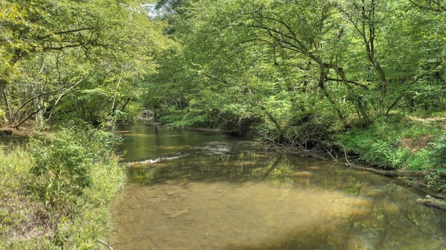 view of local wilderness