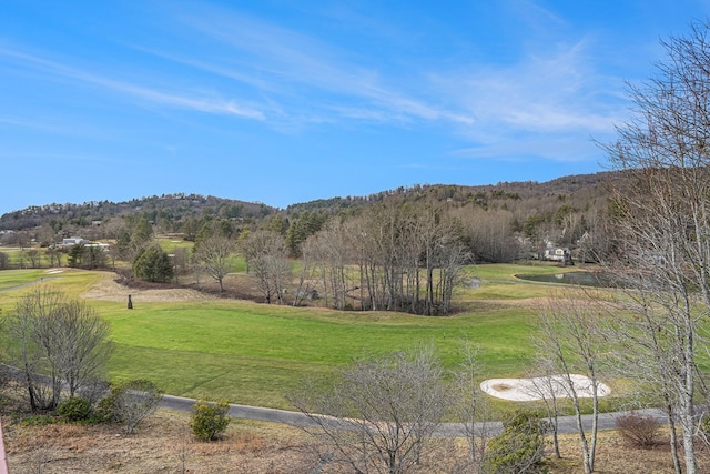 view of mountain feature featuring a forest view