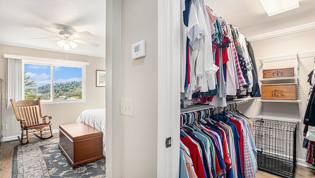 walk in closet featuring ceiling fan and wood finished floors