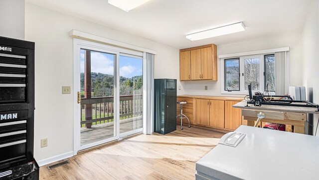 kitchen with light wood-style floors, a wealth of natural light, and light countertops