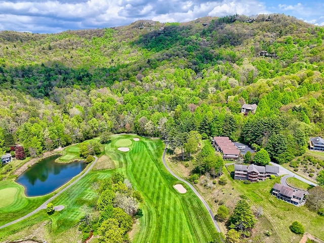 623 Overlook Way, Sky Valley, GA 30537 - birds eye view of property with a water view, a forest view, and golf course view