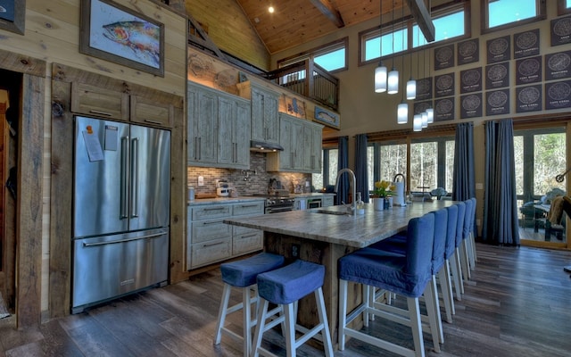 kitchen featuring a sink, dark wood finished floors, high end appliances, under cabinet range hood, and high vaulted ceiling