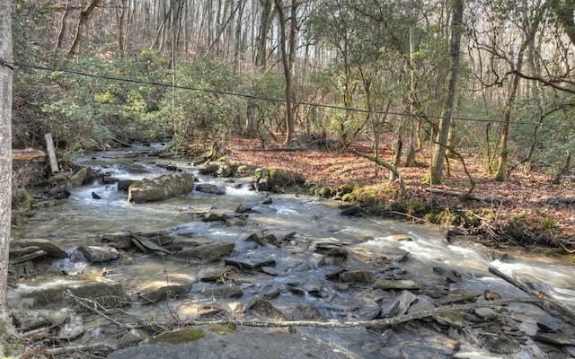 view of nature with a wooded view