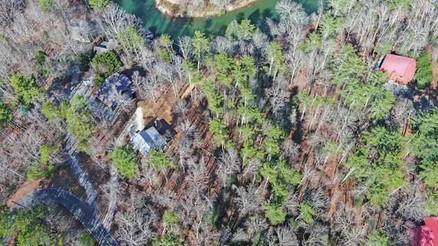 bird's eye view with a forest view