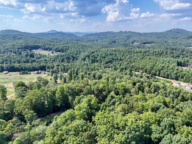 drone / aerial view featuring a mountain view and a view of trees