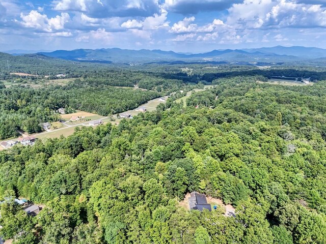 birds eye view of property featuring a mountain view