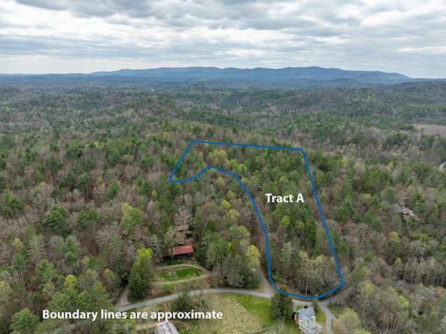 TRACTA Harpers Creek Rd, Ellijay, GA 30540