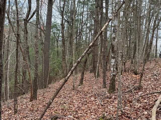 TRACTA Harpers Creek Rd, Ellijay, GA 30540