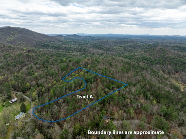 TRACTA Harpers Creek Rd, Ellijay, GA 30540