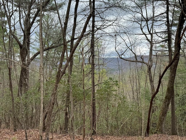TRACTA Harpers Creek Rd, Ellijay, GA 30540