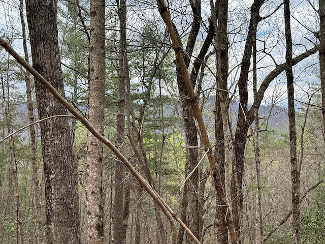 TRACTA Harpers Creek Rd, Ellijay, GA 30540