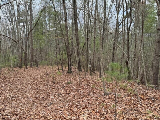 TRACTA Harpers Creek Rd, Ellijay, GA 30540