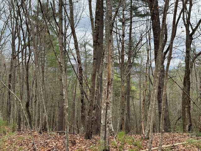TRACTA Harpers Creek Rd, Ellijay, GA 30540