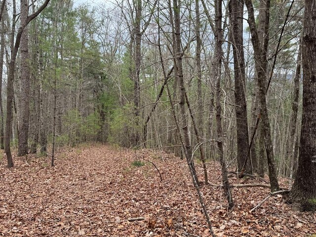 TRACTA Harpers Creek Rd, Ellijay, GA 30540