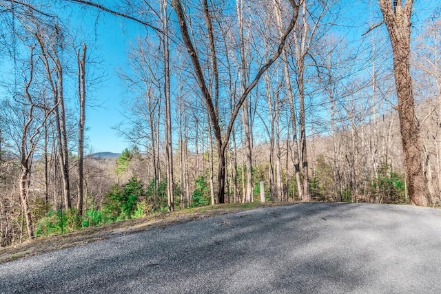 Listing photo 3 for LOT43 Dusty Danno Trl, Mineral Bluff GA 30559