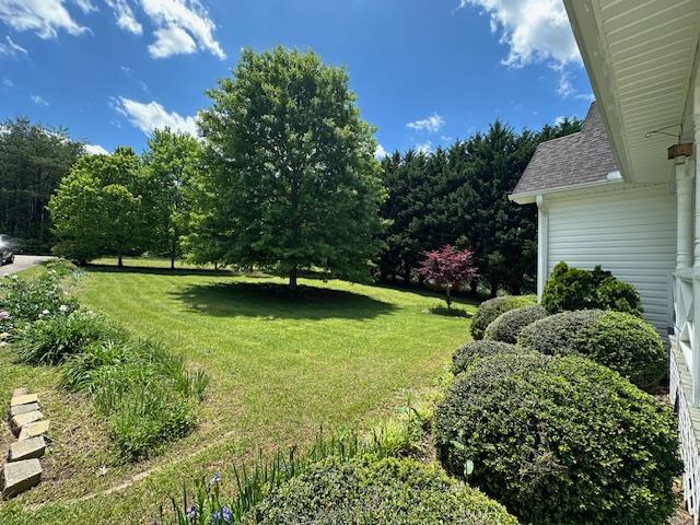 3273 Ivy Log Rd, Blairsville, GA 30512 - view of green lawn