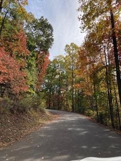 10 Quiet Place Ln, Clayton, GA 30525 - view of road with a wooded view