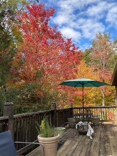 10 Quiet Place Ln, Clayton, GA 30525 - view of deck