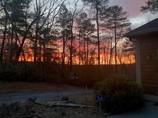 10 Quiet Place Ln, Clayton, GA 30525 - view of yard at dusk
