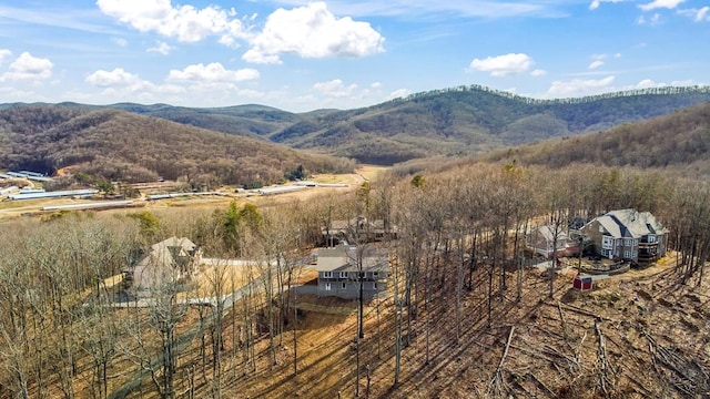 property view of mountains