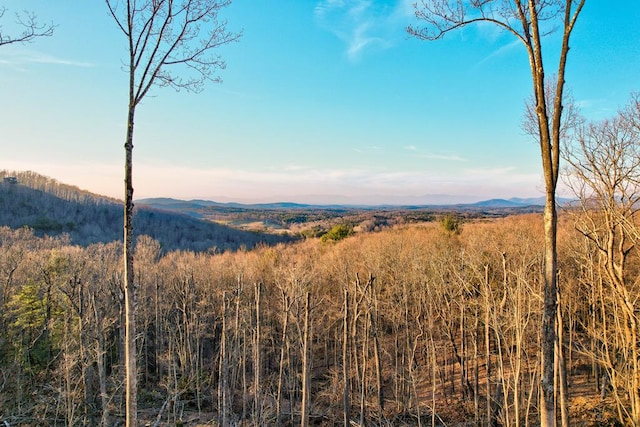 view of mountain feature featuring a wooded view