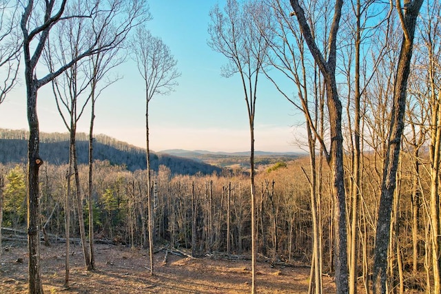 view of mountain feature featuring a view of trees