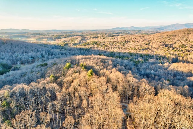 bird's eye view with a mountain view and a wooded view