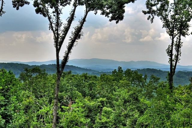 property view of mountains