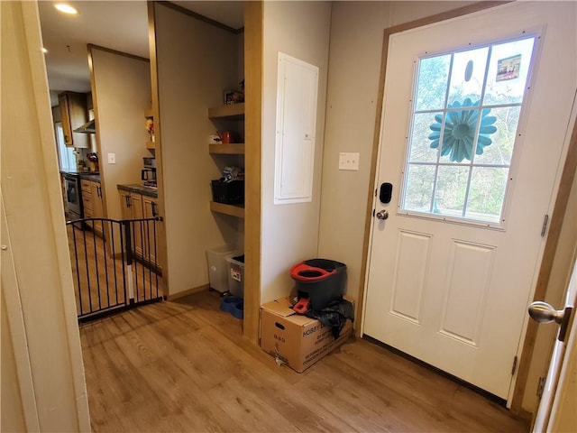 doorway to outside featuring electric panel, light hardwood / wood-style flooring, and plenty of natural light