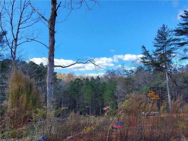 view of landscape