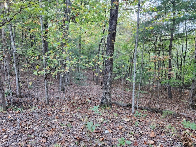 Listing photo 2 for 0 N View Trl, Mineral Bluff GA 30559