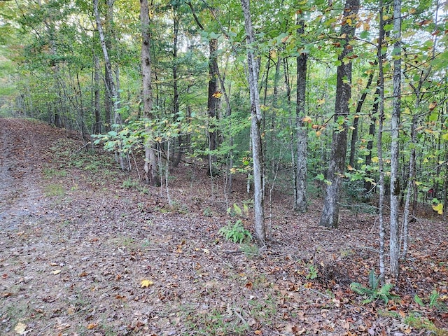 Listing photo 3 for 0 N View Trl, Mineral Bluff GA 30559