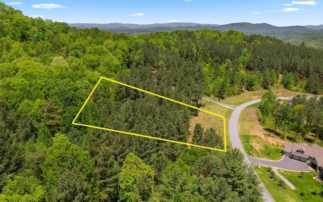 LT158 Stables Loop, Blairsville GA, 30512 land for sale