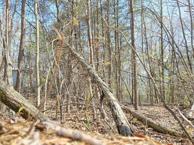 Listing photo 3 for LOT36 Moosilaukee Dr, Mineral Bluff GA 30559