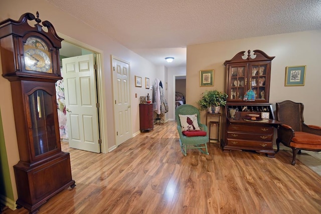 living area with a textured ceiling and light hardwood / wood-style floors